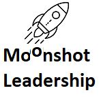 Moonshot Leadership Consulting